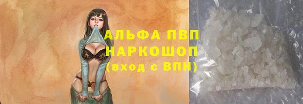 индика Балахна