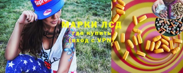 индика Баксан