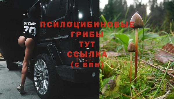 PSILOCYBIN Алексин