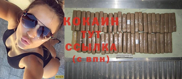 индика Балахна