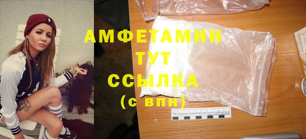 индика Баксан