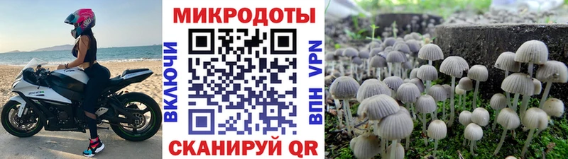 Псилоцибиновые грибы Psilocybe mega как зайти Строитель